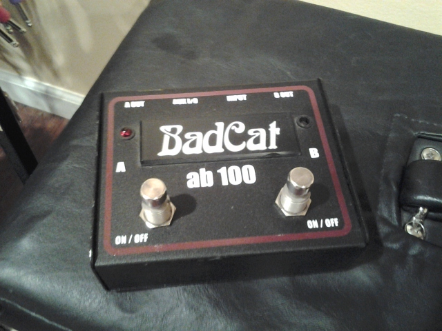 Bad Cat Hot Cat 30 Guitar Amp Combo  